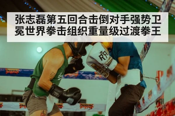 张志磊第五回合击倒对手强势卫冕世界拳击组织重量级过渡拳王