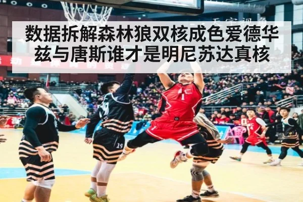 数据拆解森林狼双核成色爱德华兹与唐斯谁才是明尼苏达真核