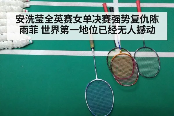 badminton final match